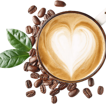 h9-image2-removebg-preview